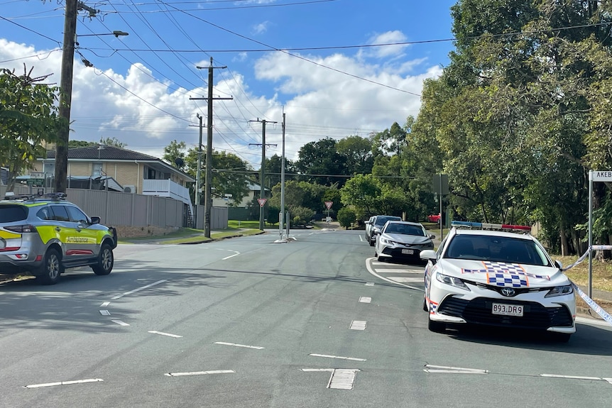 Police on a suburban street