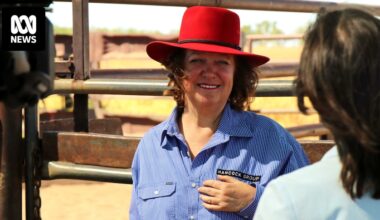 Fight over legal costs in Gina Rinehart's Hope Downs judgement begins in Perth