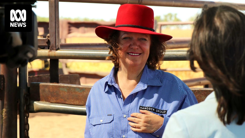 Fight over legal costs in Gina Rinehart's Hope Downs judgement begins in Perth