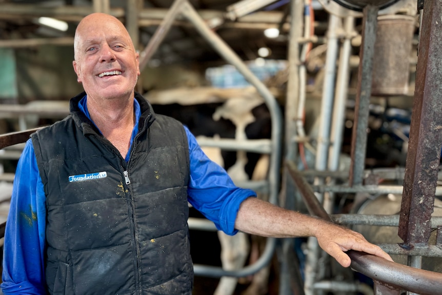 A smiling bald man standing in front of cows being milked in his dairy.