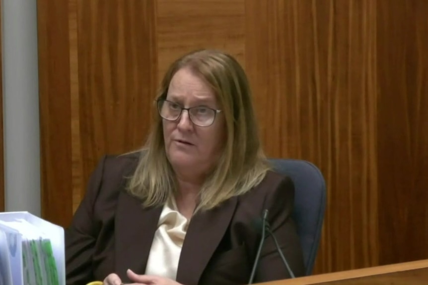 A woman in brown jacket and glasses speaking at an inquiry