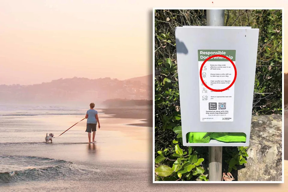 A woman walking with a dog on a lead at the beach (main) and a sign warning dog owners to keep their pets under effective control (inset).