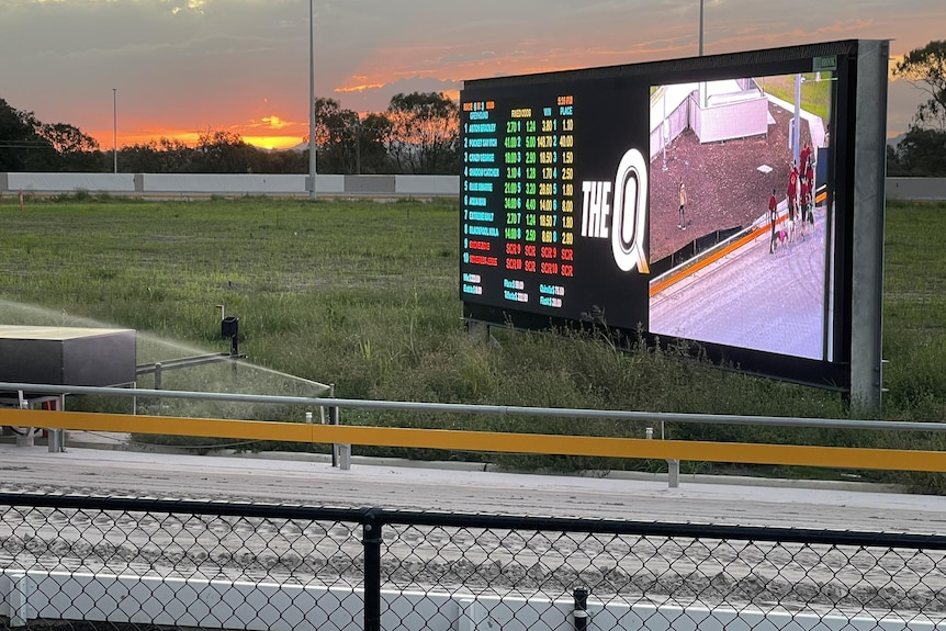 the photo of a greyhound track with a board showing the names of the dogs