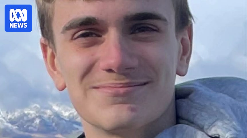 Man sentenced over fatal hit and run of teenager Bryson Dimovski near Newcastle