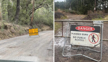 Fear for rare Aussie reptile as roads shut around coastal town: 'No one knows what's going on'