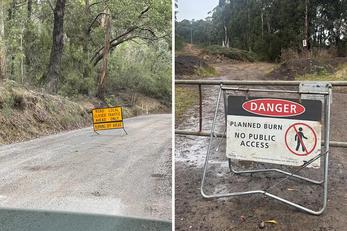 Fear for rare Aussie reptile as roads shut around coastal town: 'No one knows what's going on'