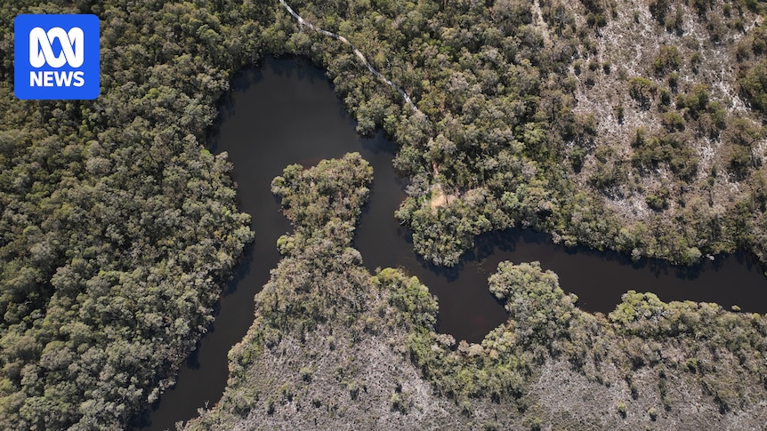 WA planning authorities approve $500m wind farm at Scott River