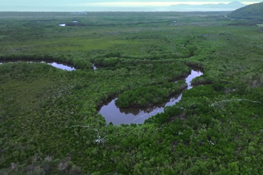 An oxbow lake near a river seen from above