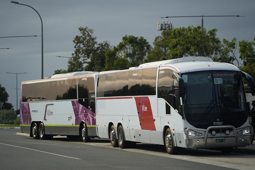 Two white buses that say "V/Line", one with a red stripe and one with purple panels, parked beside a road.