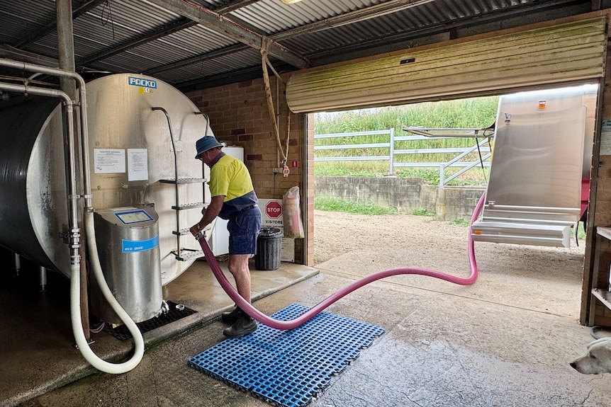 A man attaching a large hose to a milk vat to transfer milk to his truck.