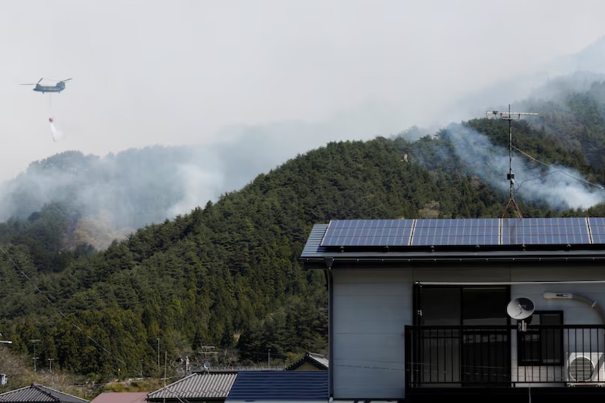 A helicopter conducts firefighting operations above green mountains.