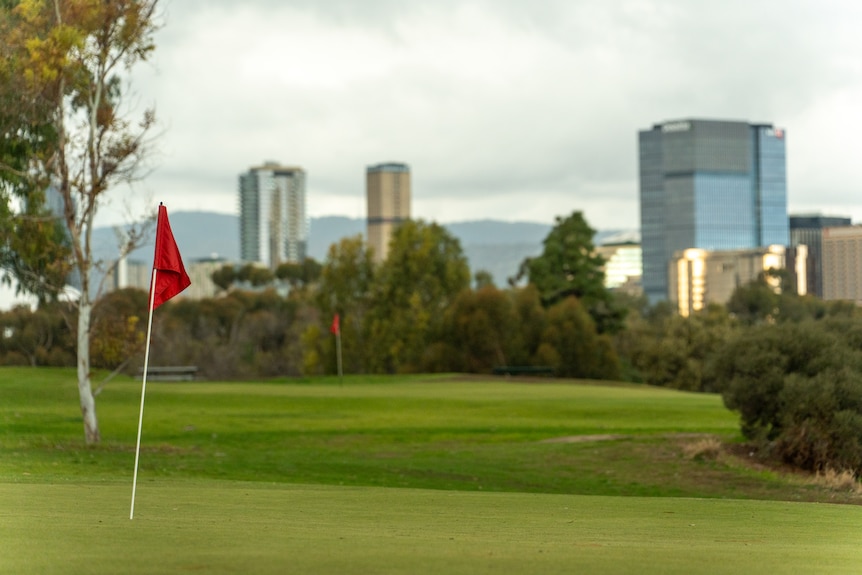 Two flags on a golf course with large buildings from the city in the background.