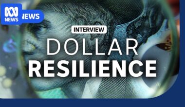 What's behind the Australian dollar's resilience in the face of global turmoil?