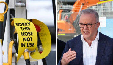 Albo to talk fuel, fertiliser in Southeast Asia blitz