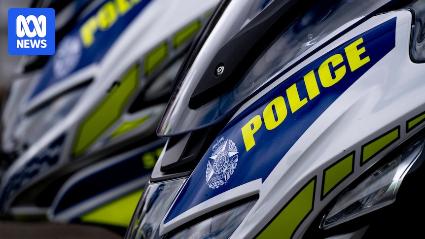 Teenage girl who 'weaponised' stolen cars denied bail over risk to community