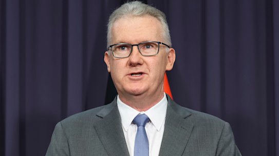 Home Affairs Minister Tony Burke.