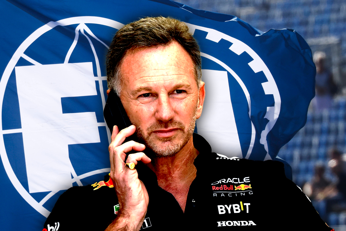 Horner, FIA, social