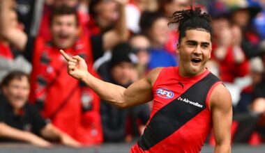 AFL round five 2026, scores, results, odds, stats and start time from Norwood Oval in Adelaide