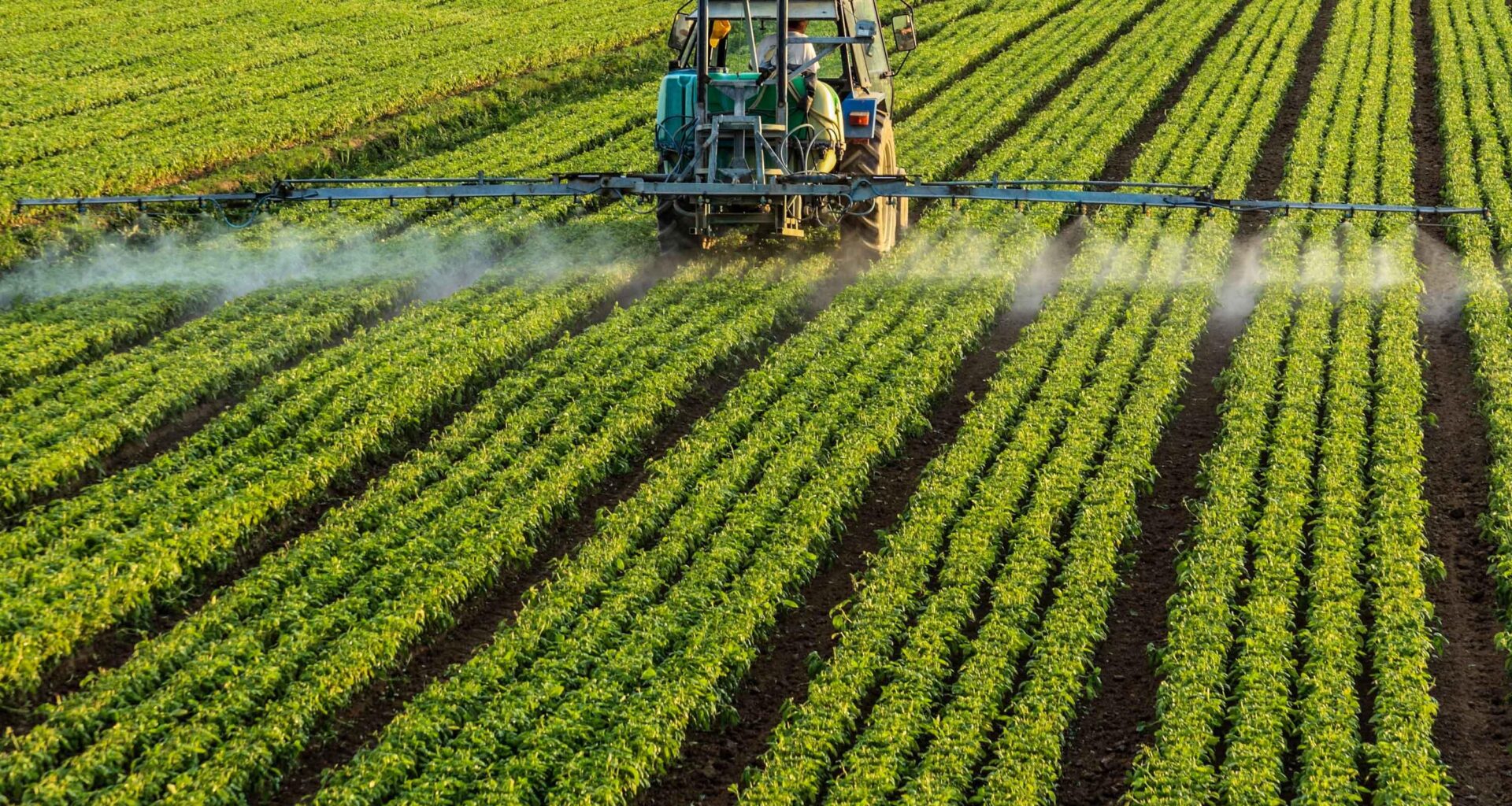 The 'horrific' disease hitting regional Aussies hardest