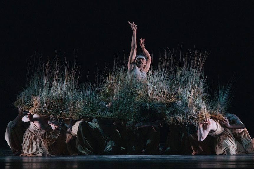 On stage, a group of Indigenous and non-Indigenous dancers crouch down, holding a grassland set piece, from which one emerges.