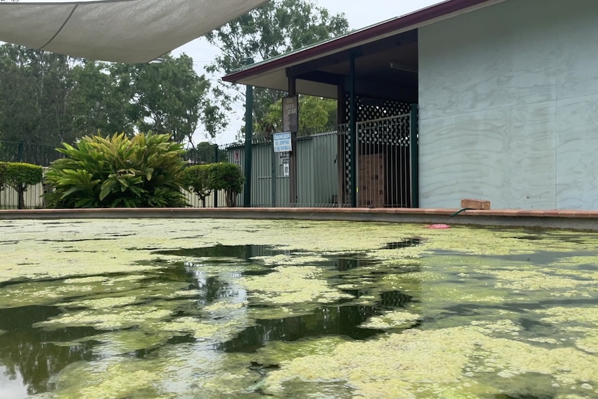 A pool with lots of algae in it