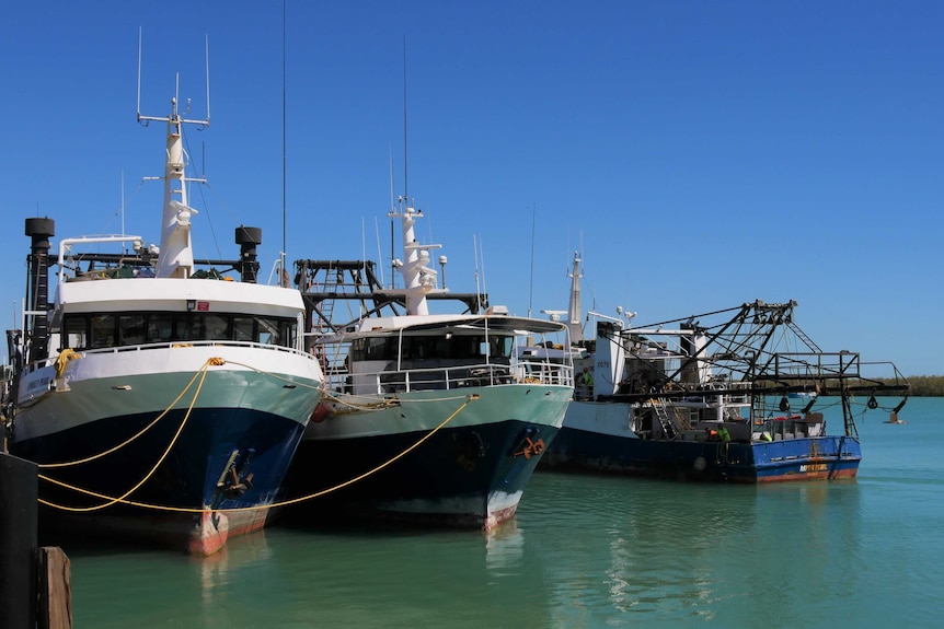 Fishnig boats moored at the Raptis Whart in Karumba in the Gulf of Carpentaria.