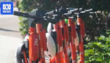 New laws could see rental e-scooter usage drop by 50 per cent, companies tell Queensland inquiry