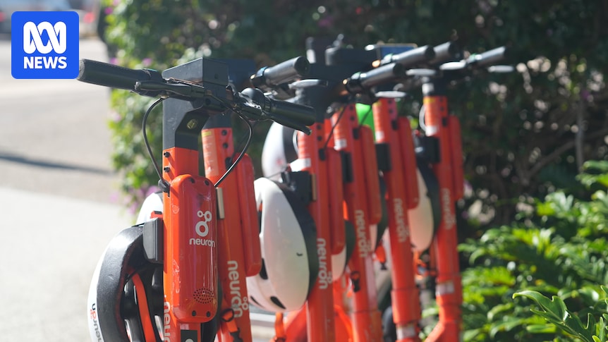 New laws could see rental e-scooter usage drop by 50 per cent, companies tell Queensland inquiry