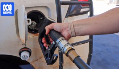 States and territories agree to further fuel excise cut, using extra GST revenue