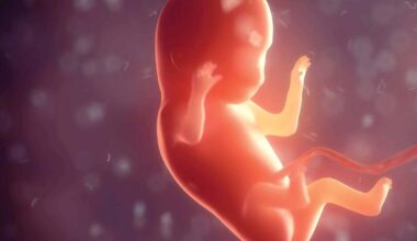 Scientists Mapped the Womb in Unprecedented Detail and Discovered a Brand New Cell Type That Protects Pregnant Mothers