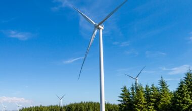 Why windfarms and electricity pylons have become a major issue in the Welsh election