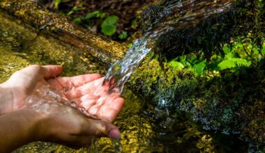 groundwater contamination in NZ reveals a legacy of human pressure