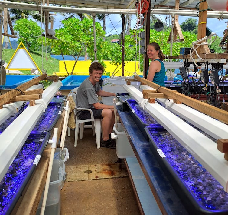two people in outside lab with containers full of coral