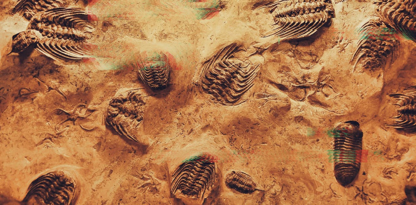 are we on the brink of the next major evolutionary transition?
