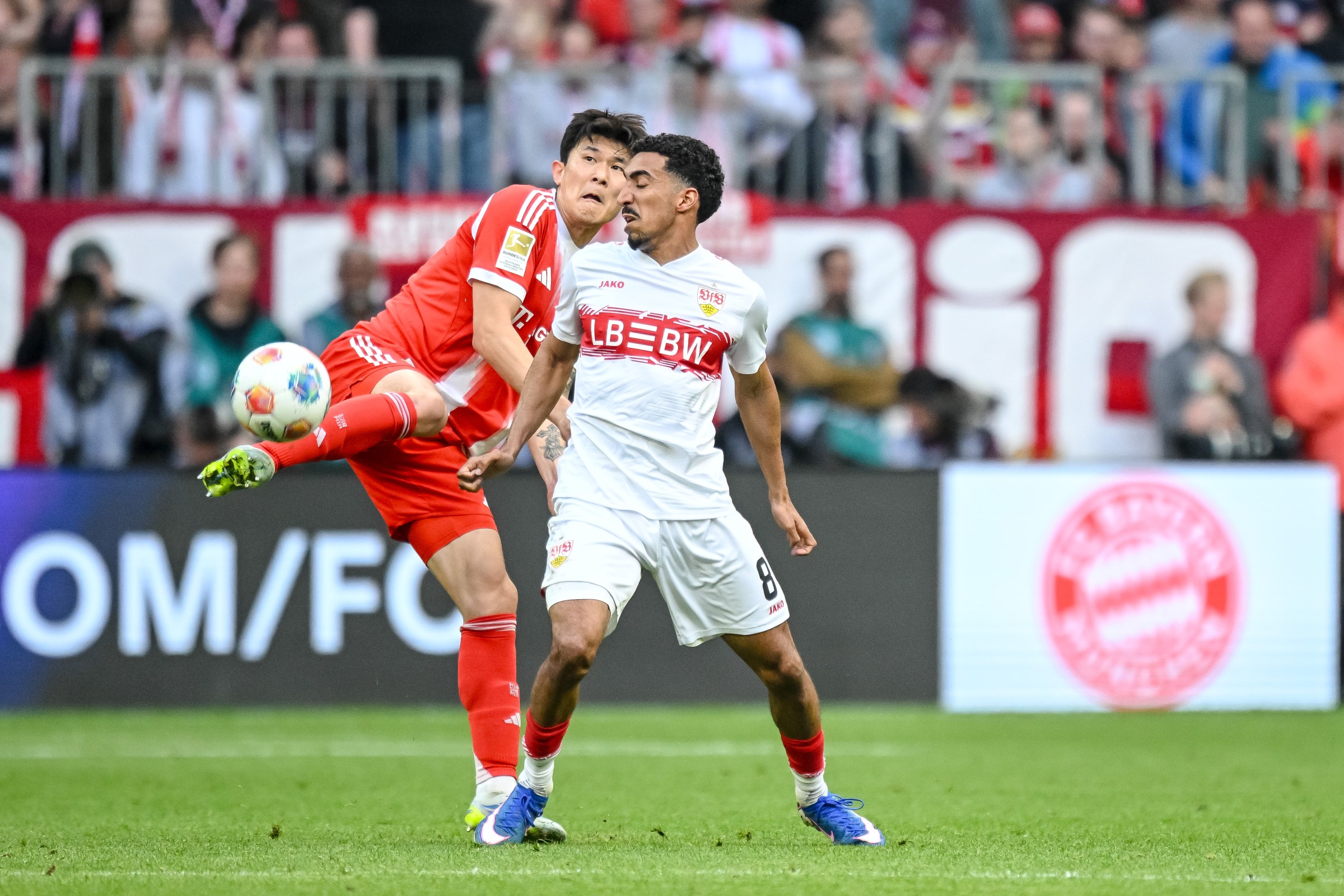 (Photo by Harry Langer/DeFodi Images/DeFodi via Getty Images)