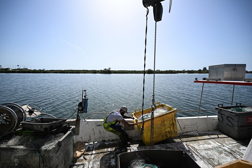 Sam Salaun, fisherman in Valras-Plage, southern France, offloads the day's catch from his boat on April 21, 2026.