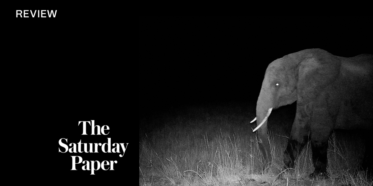 Ghost Elephants is a very Herzog quest for the sublime