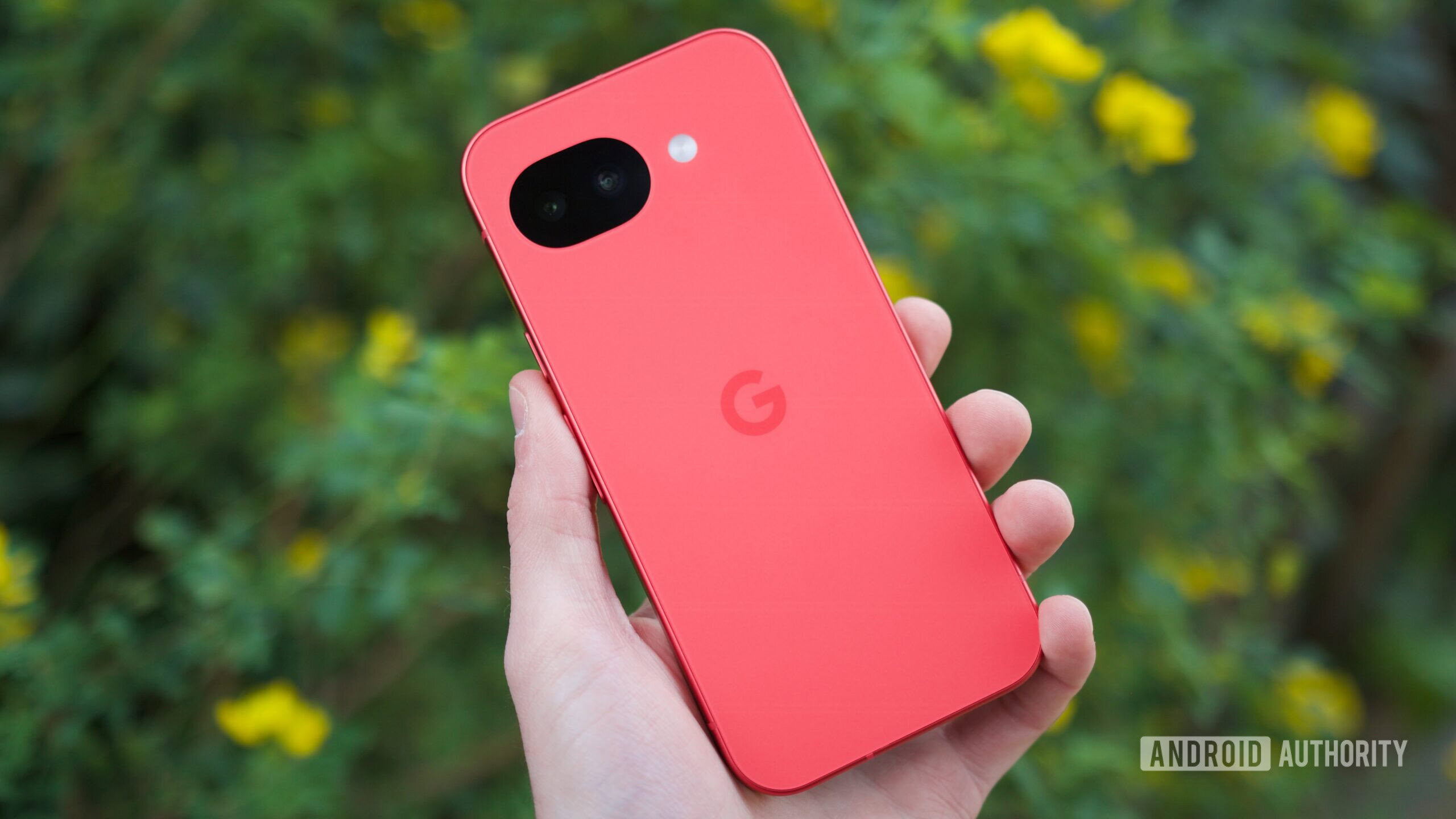 The Google Pixel 10a in its Berry color.