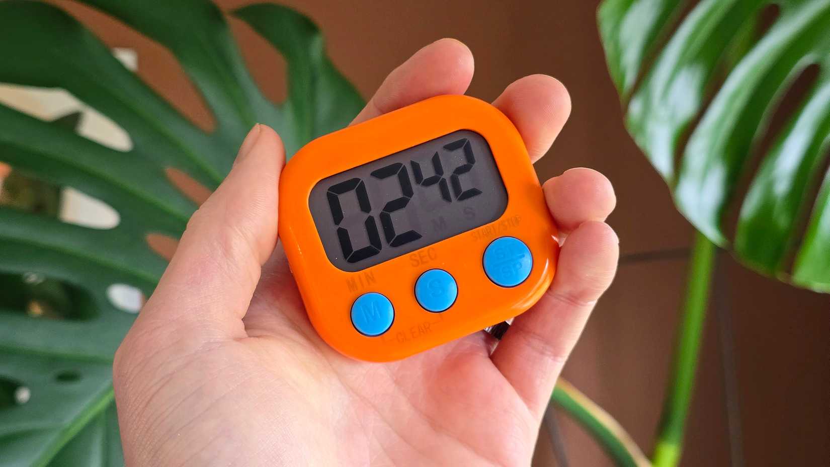 Hand holding orange timer-1