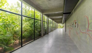 evolving green facades turn hyderabad school into a living forest