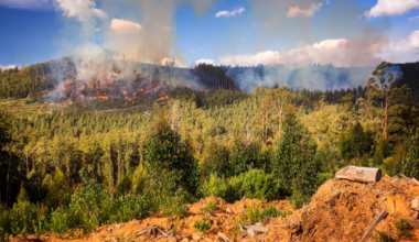 We may be making Australia’s fire problem worse – not better