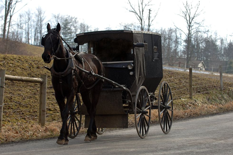 Horse drawn buggy