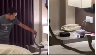 "It Crawled On My Neck"