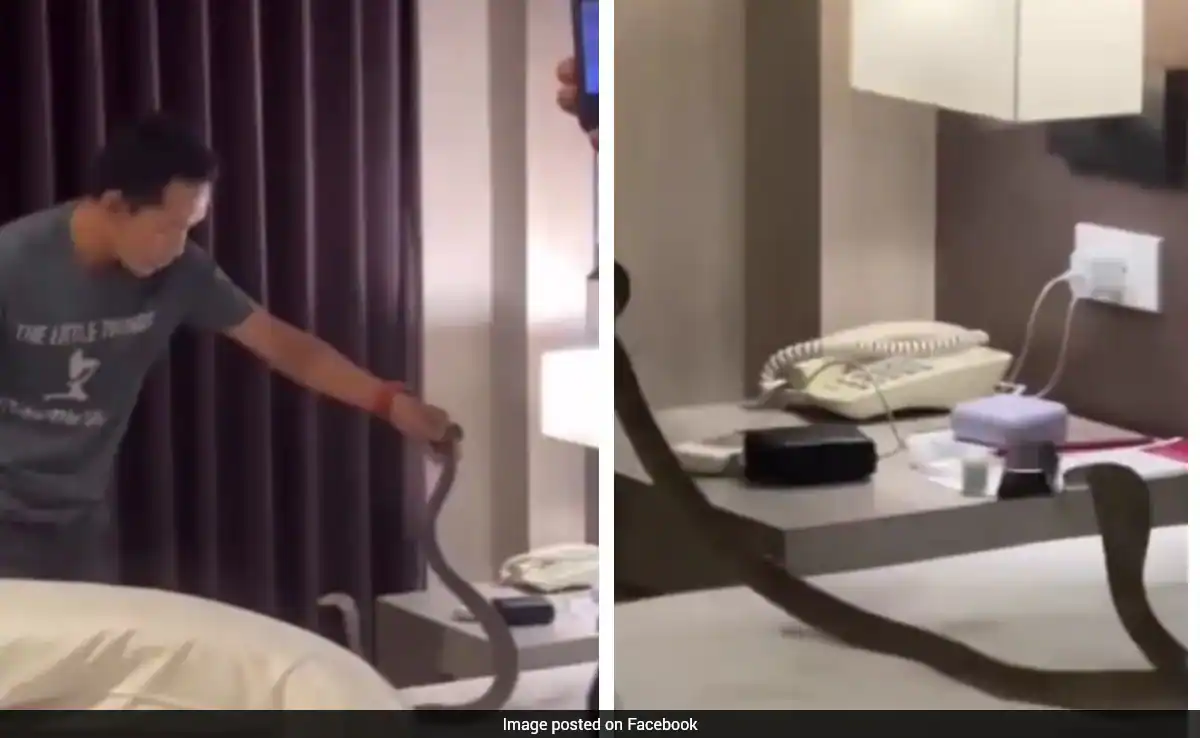 "It Crawled On My Neck"