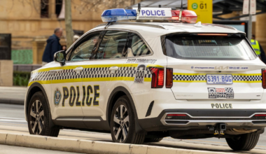 Adelaide couple charged with alleged bestiality offences, running a brothel