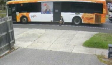 Melbourne schoolboy dragged down the road while trapped in bus doors