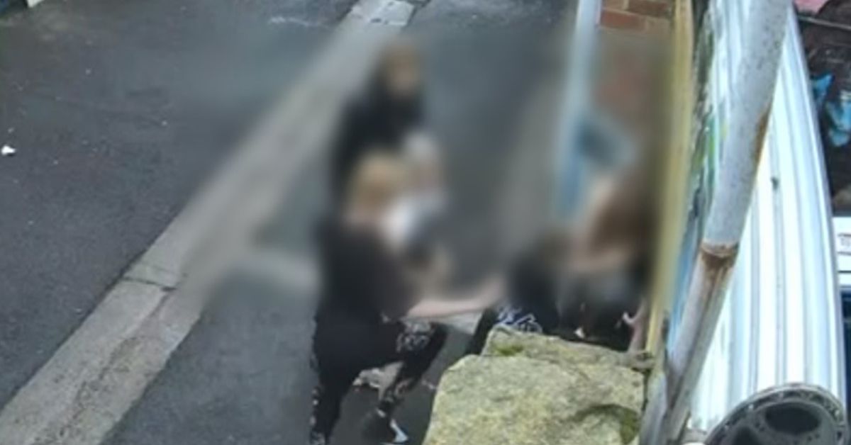 Three 14-year-olds arrested after 'cowardly' alleged laneway attack on teen