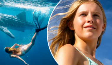 Exclusive: Meet the 'new Nicole Kidman' Aussie teen Alyla Browne, who's swimming with sharks in new Exmouth film | Whale Shark Jack on Stan