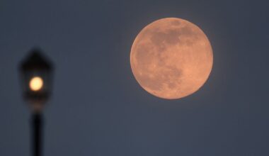 Full Pink Moon April 2026: Exact time, how to see it in Australia and everything you need to know