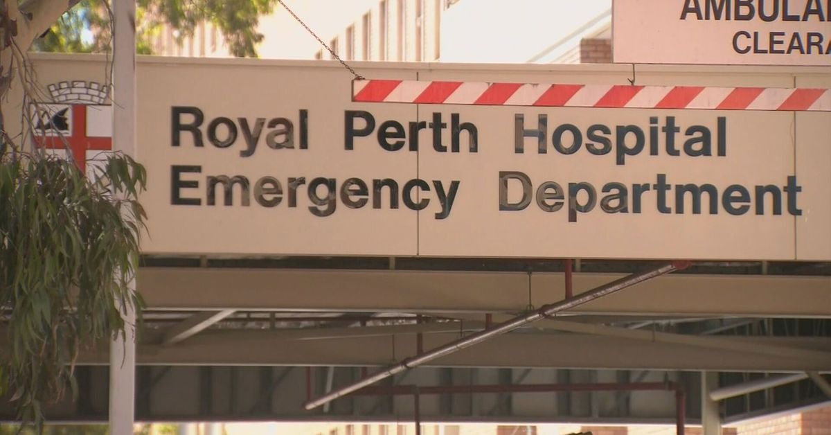 Man attacked by 'large crocodile' at popular camping spot north of Broome